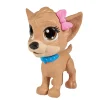 CCL Pii Pii Puppy