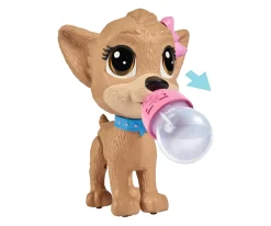 CCL Pii Pii Puppy