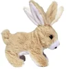 CCL Rabbit