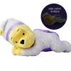 Disney WTP Gute Nacht Bär II