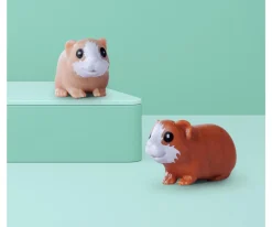 Evi LOVE Guinea Pigs