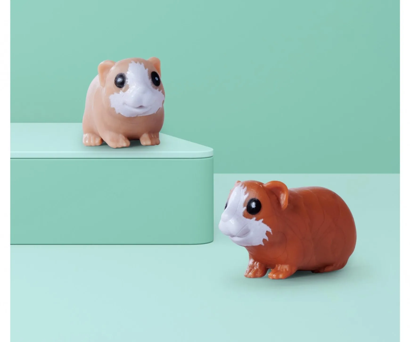 Evi LOVE Guinea Pigs