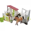 Pferdebox und Waschplatz mit Pferd